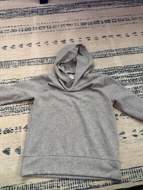 Crewcuts Light Gray Striped Hooded Pullover, Blue sweatshirt